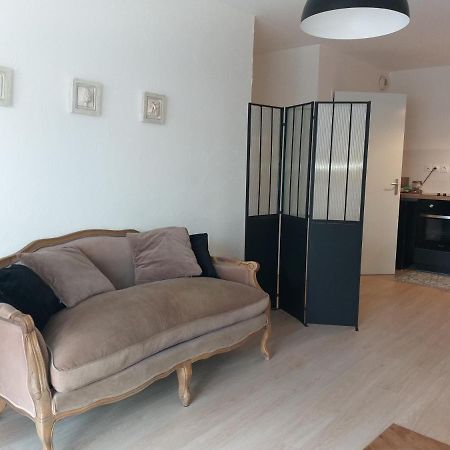 Le Savoie Appartement 2 Chambres 3 Couchages ,Balcon Et Parking Prive 벨가르드쉬르발세린 외부 사진